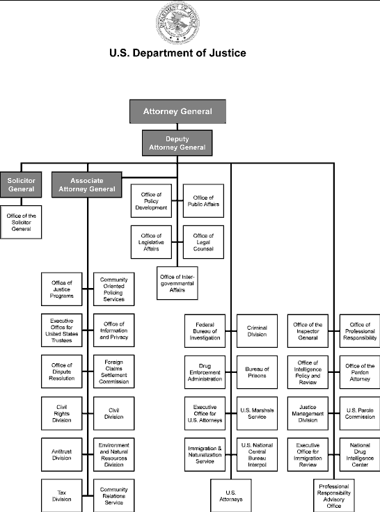 supply chain org chart