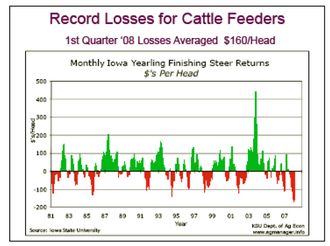 Record Losses for Cattle Feeders 1st Quarter '08 Losses Averaged $160/Head