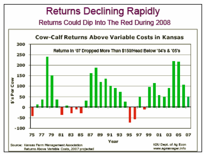 Returns Declining Rapidly Returns Could Dip Into the Red During 2008