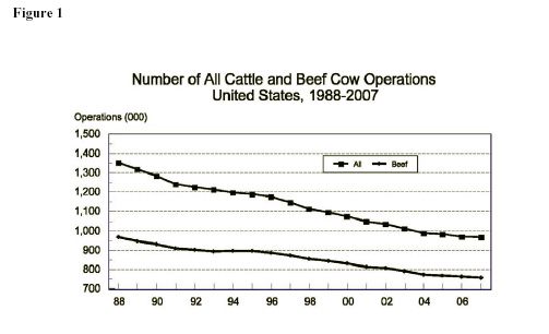 Figure 1: Number of All Cattle and Beef Cow Operations United States, 1988-2007