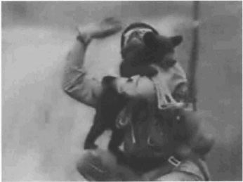 Exhibit K:  A rescue worker holding a bear cub during a airlift rescue.