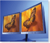 A butterfly on two screens