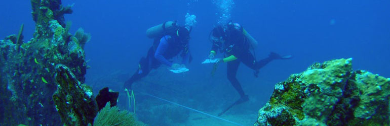 Divers. Courtesy of NOAA.