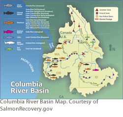 Columbia River Basin Map. Courtesy of SalmonRecovery.gov Columbia River Basin Map. Courtesy of SalmonRecovery.gov