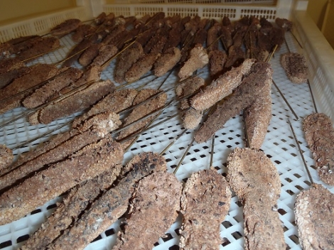Dried Sea Cucumbers Dried Sea Cucumbers