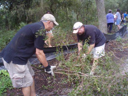 Volunteers clearing the brush