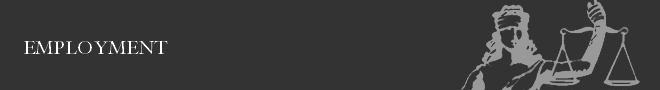 Placeholder Banner Image