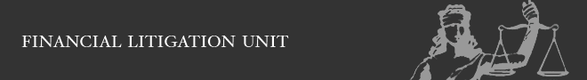 Financial Litigation Unit
