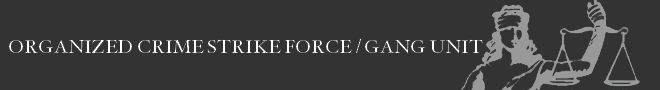 Organized Crime Strike Force / Gang Unit