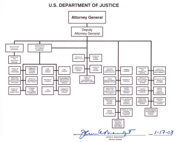 Organization Chart