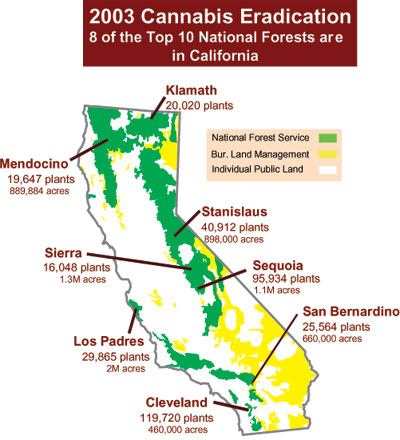 Map of California illustrating cannabis eradication for 2003 in 8 national forests.