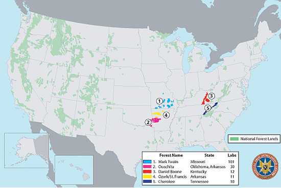 Map of the U.S. showing the top five national forests for methamphetamine laboratory seizures from January 2002 to December 2003.