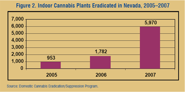 Graph showing the number of indoor cannabis plants eradicated in Nevada in the years 2005-2007.
