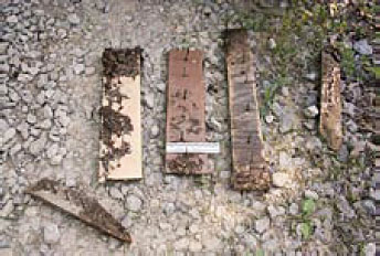 Photo showing five Punji stick boards that were seized from cannabis cultivation operations near Fentress County, Tennessee, in 2008.