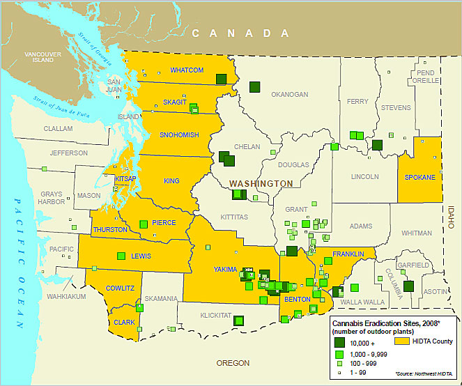 Map showing the location and number of outdoor cannabis eradication sites in Washington in 2008.