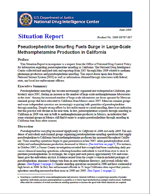 Cover image for Situation Report: Pseudoephedrine Smurfing Fuels Surge in Large-Scale Methamphetamine Production in California.