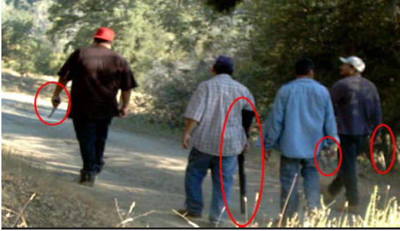 Photograph of men carrying rifles and pistols.