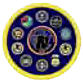 NGIC Seal.