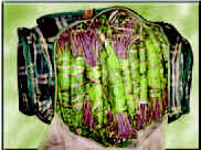 Photograph of bundled stems inside a shaving kit bag.