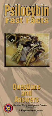 Cover image linked to printable Psilocybin Fast Facts brochure.