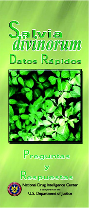 Salvia divinorum Datos Rpidos.