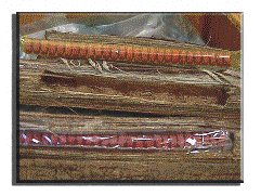 Tabletas de yaba.