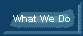 What We Do