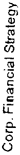 Corporate Financial Strategy