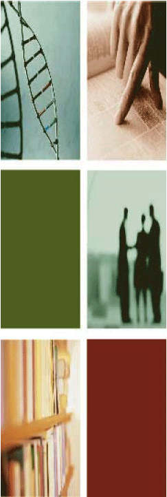 Triangles showing images of people meeting, fingers pointing to document, files, twisted metal, and two color filled ones