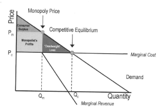 Graph representing monopoly pricing, superimposed over the economic demand curve