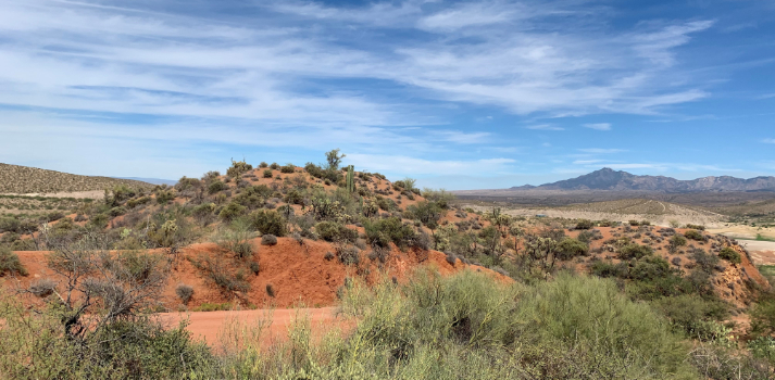 Landscape of San Carlos Apache Reservation by Hillary Hoffman