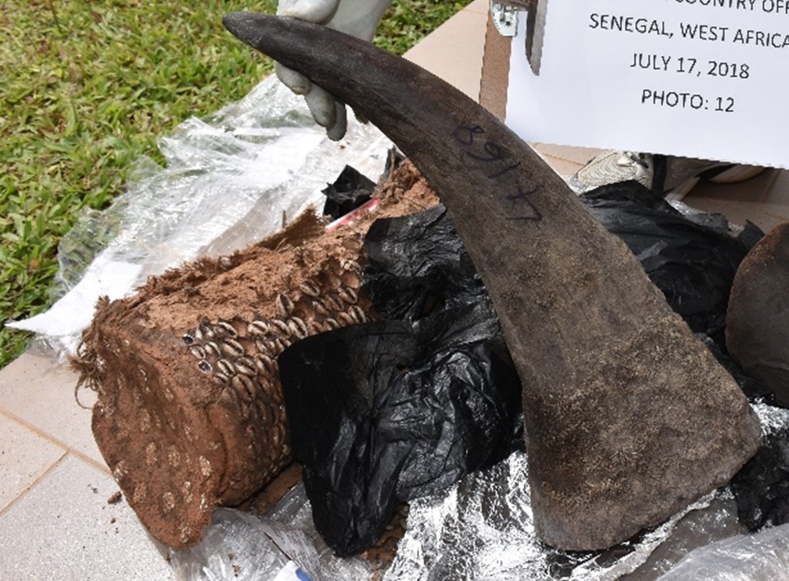Photo of a rhinoceros horn sold by the defendants
