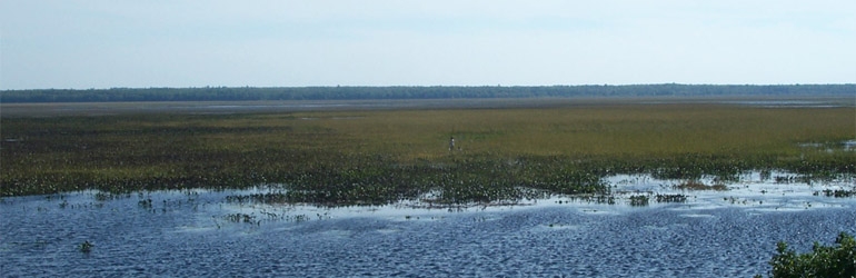 Rice Lake National Wildlife Refuge, McGregor, MN. Courtesy of FWS.