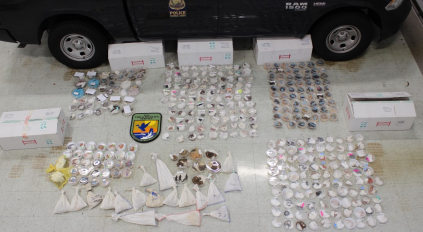Illegal shipment seized in August 2021