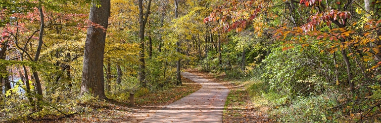 Trail wanders through the forest.  Courtesy of Jeff Bank (DOJ/ENRD/EO)