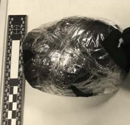 Defendants stuffed turtles in side socks after wrapping them in tape.