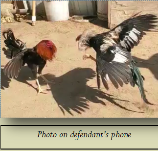 Photo on defendant’s phone