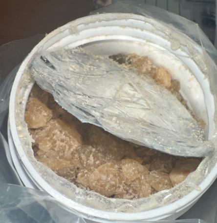 Seized MDMA from international parcel