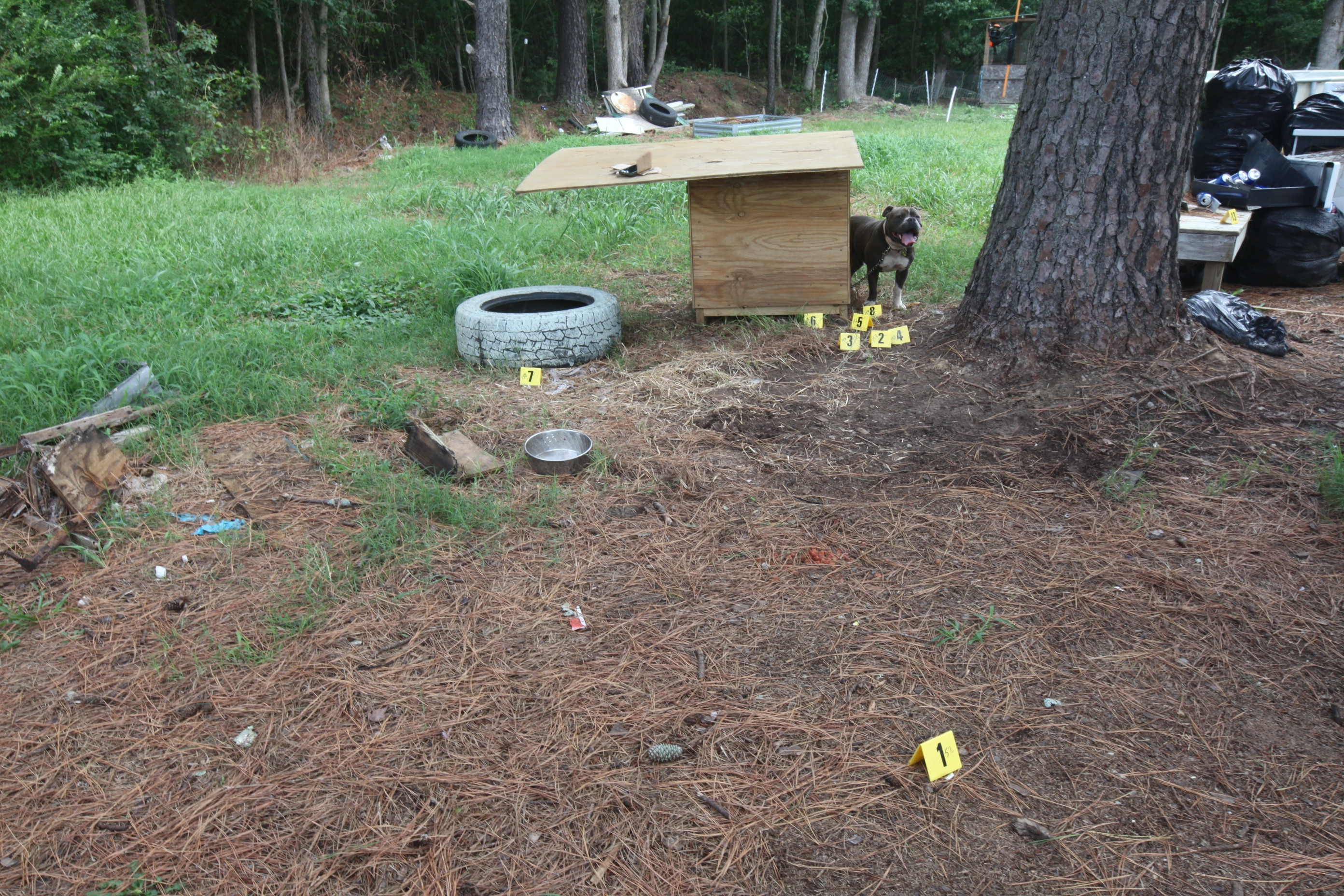 Photo of crime scene markers with dog and dog house in background