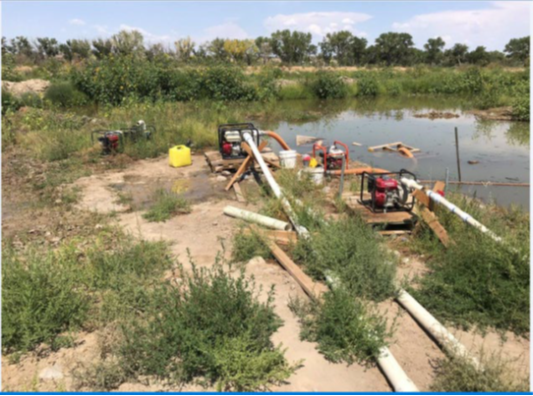 San Juan River 2