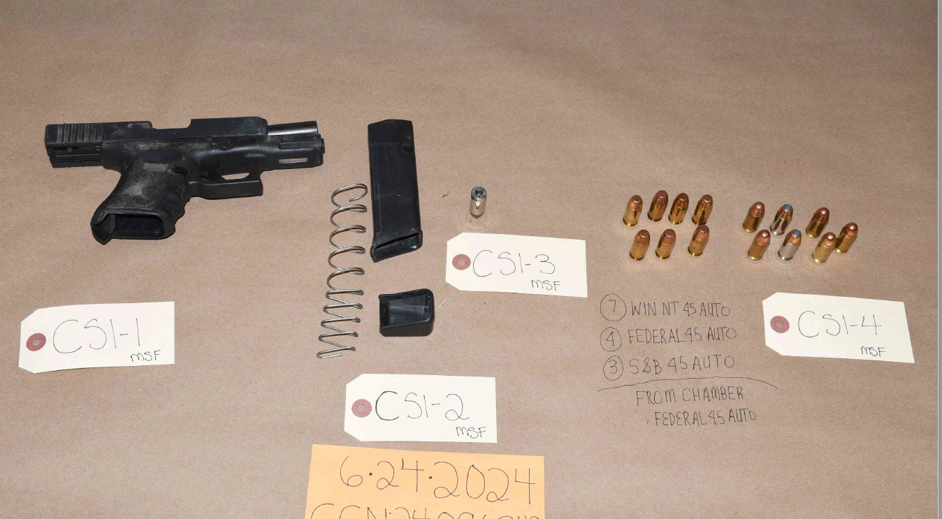 A firearm and ammunition. 