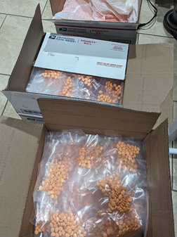 Bags ready to be shipped to customers nationwide.