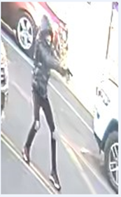 description in release