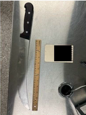 Knife 1 next to ruler for scale