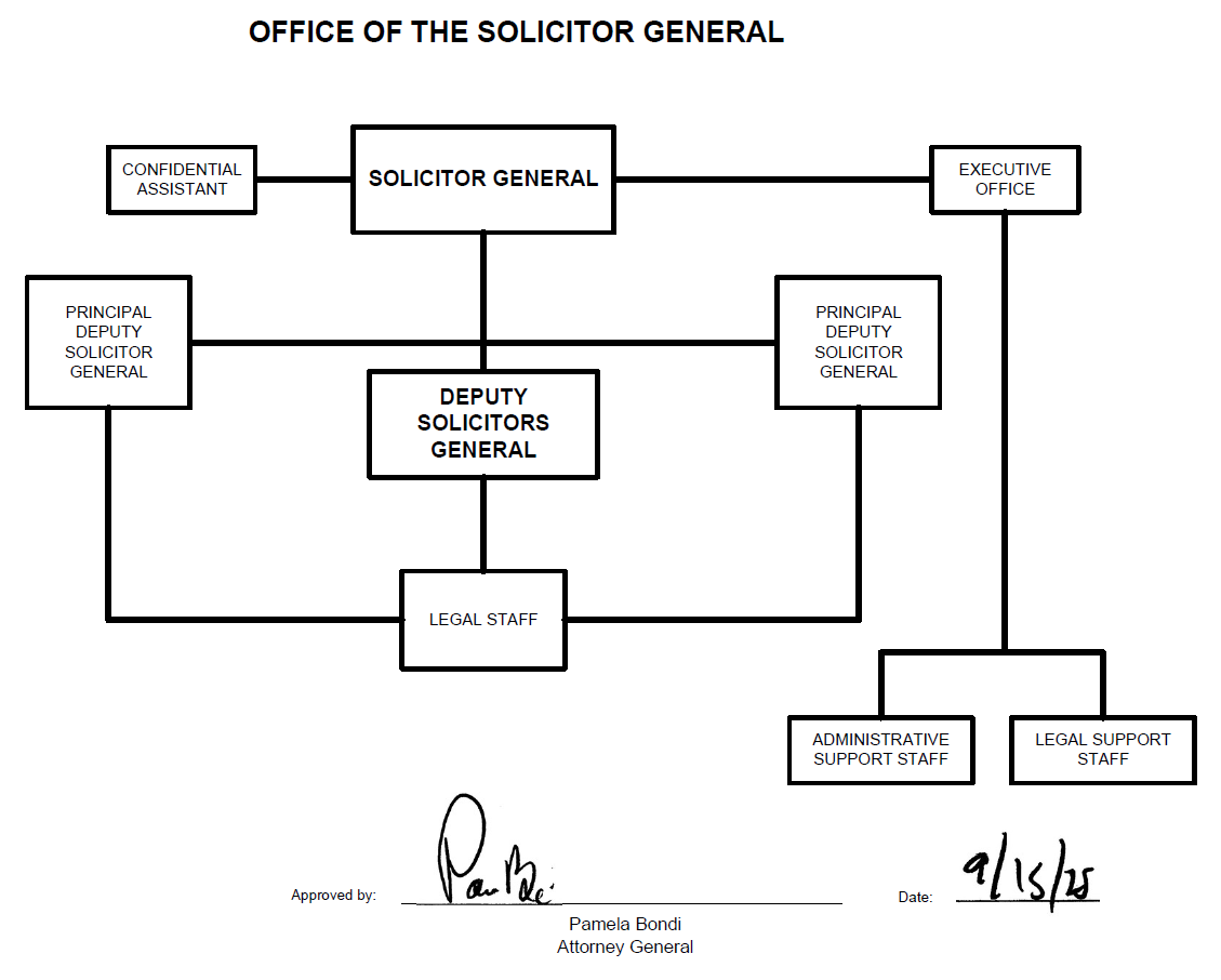 Office of the Solicitor General (OSG) Organizational Chart