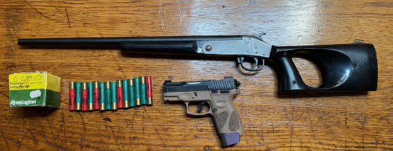 firearms and ammunition