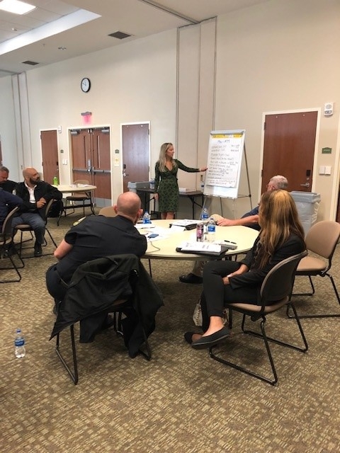Problem Solving for Public Safety Partners Training Series