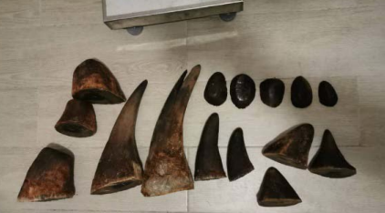 Photo of rhinoceros horns Ching offered for sale