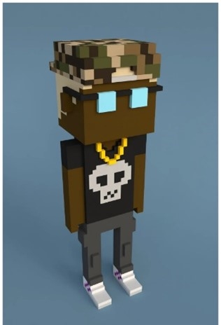 Picture of Meebit series NFT