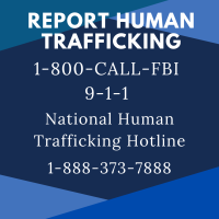 How to Report HT - 2024